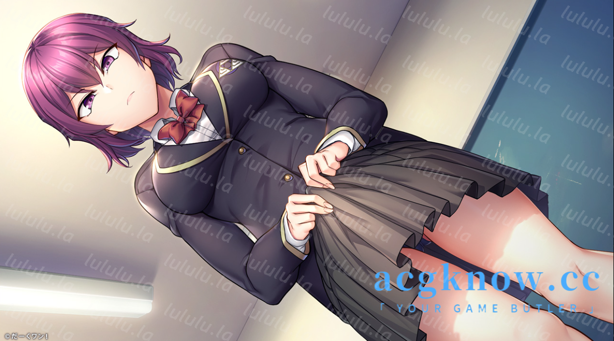 [PC] [日系ADV/汉化/NTR] 催眠性指導 -Secret Lesson 催眠性指导 汉化版 [5G]