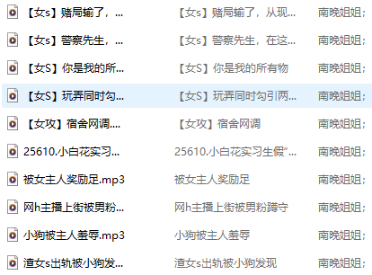 南晚姐姐 R18 音频350M百度盘