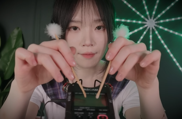 nara   使用 Tascam 麦克风录制的各种声音  1V576M百度盘