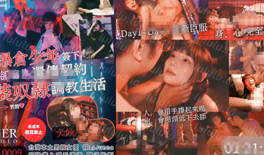 另类-湾湾极品伪娘 洪筱鈞-9月新 加密货币爆仓少年沦为女装奴隶调教生活（1V,1.21G）-福利岛