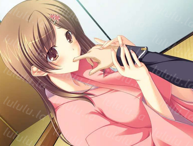 [拔作ADV] 抚子乱舞 撫子乱舞 AI汉化版+全CG存档 [1G]-福利岛