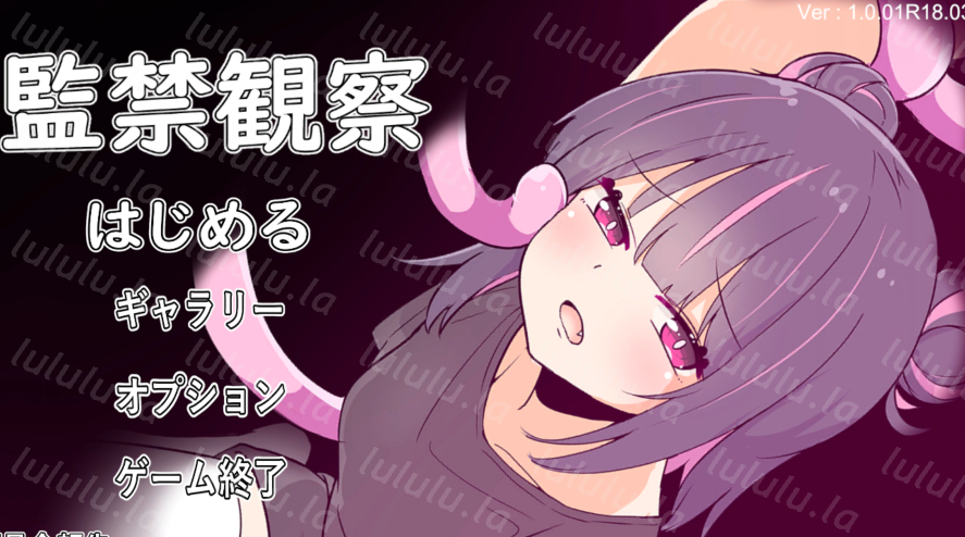 [日式SLG] 监禁观察 監禁観察 Ver1.0.1 机翻版 [430M]-福利岛