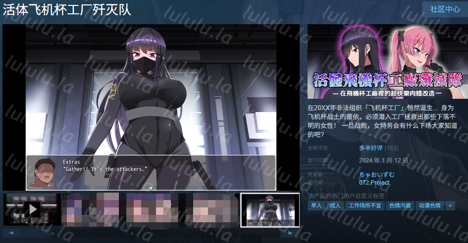 【日式RPG】活体飞机杯工厂歼灭队 Steam官方中文步兵版