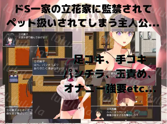 【日式RPG】M向けエロRPG -お屋敷からの脱出- DL版[生肉]