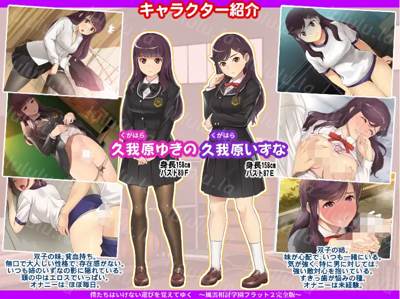 【日式ADV】风云相讨学园Flat2 完全版 个人精翻汉化版
