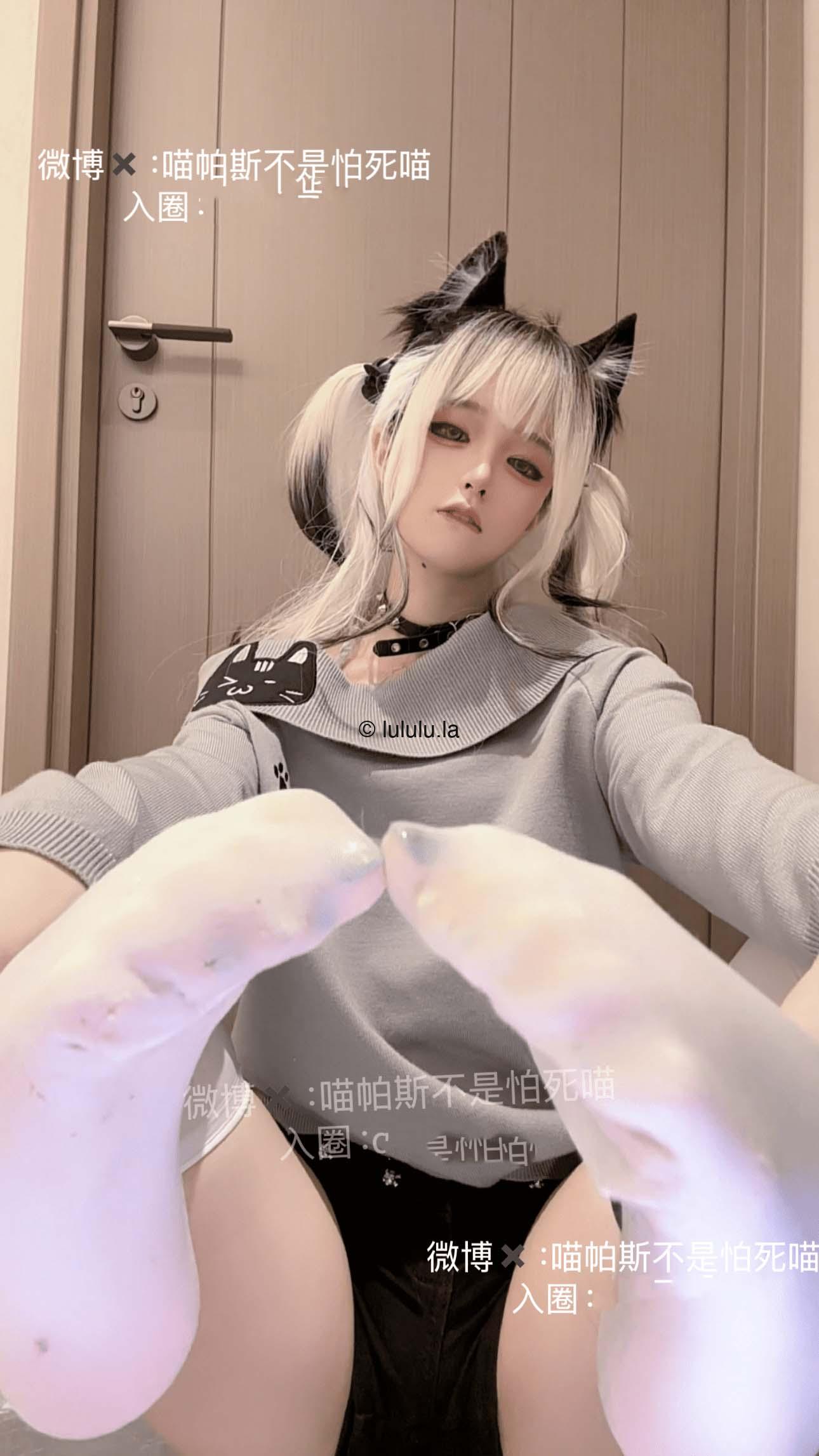 【新】喵帕斯-新入会员免费图集2 六套【106P】【318MB百度云】