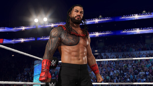 WWE 2K25 血亲家族版|官方英文|Build.18649869+预购特典+全DLC-支持手柄|解压即撸|