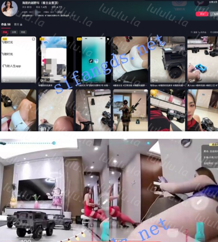 ❤️抖音【海胆的越野车】汽车摄像头推广 纹身妹3P福利[11V167M]-福利岛