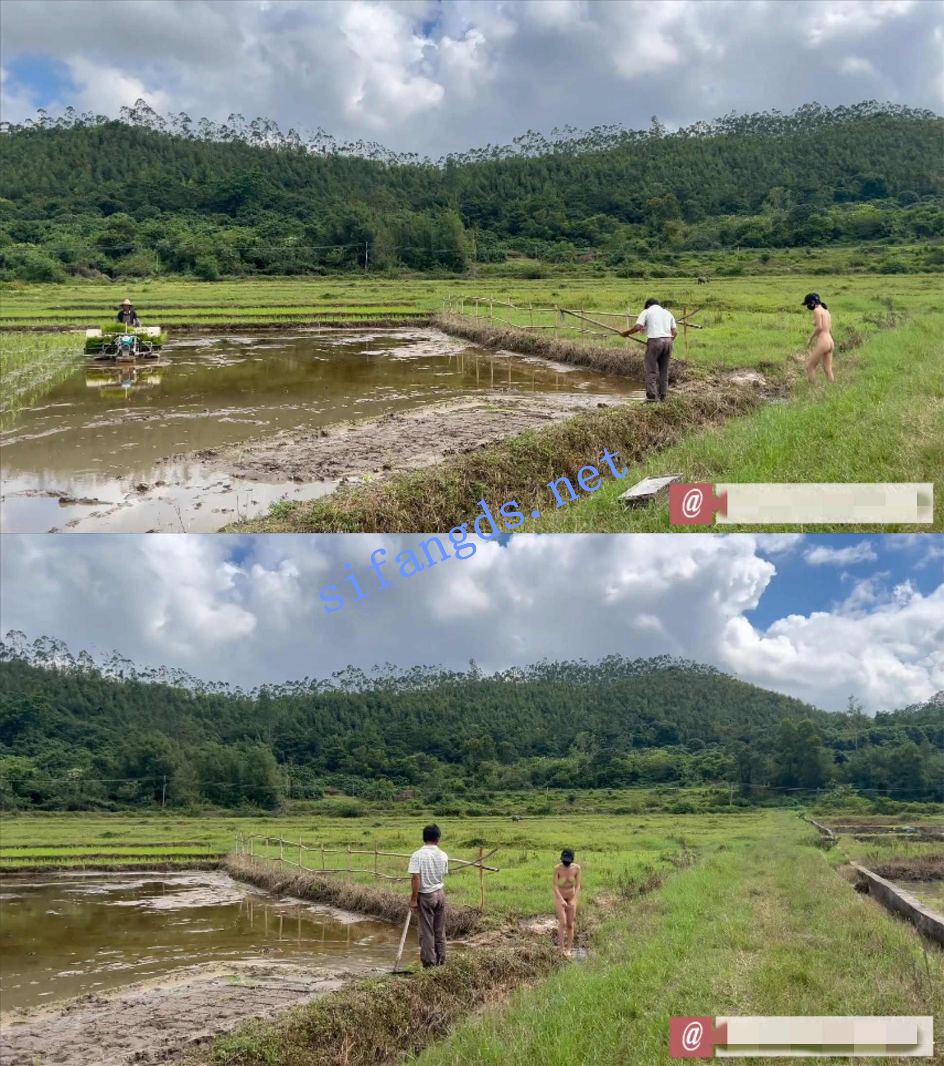 【cikaimoon】田野里的自由:与农民共度的一天-福利岛