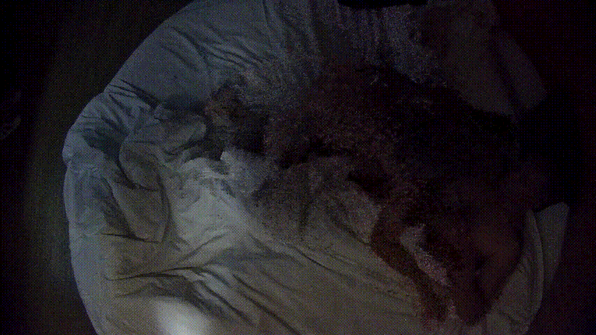 情趣台 10-30 老夫少妻 大叔带少妇住店 进来就开脱 饥渴坏了 少妇也主动含鸡巴 打两炮 一炮一睡觉-福利岛