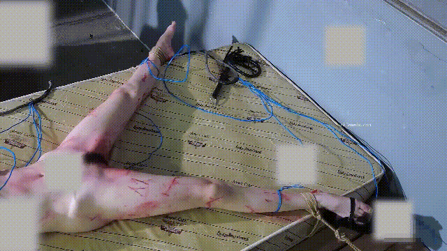 ⚫️稀缺国产调教,女奴母狗训练工作室作品【女烈慧慧】电击口吐白沫然后在Q杀-福利岛