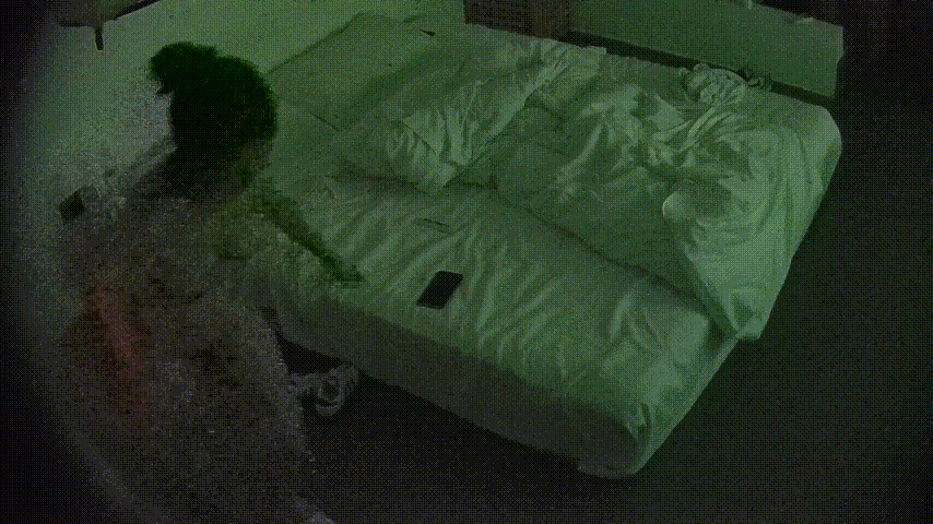 大学城 10-20 小伙子不给力 轻飘飘的操了几下 美女明显没舒服够 不满意的幽怨都写在脸上了 预览图 4