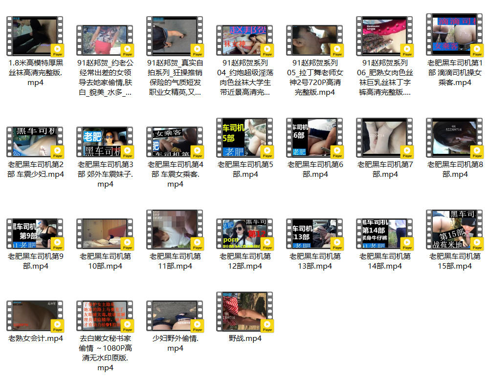 ❣️推荐❣️91老肥【赵邦贺】黑车司机系列，车震各类骚逼，特别钟爱熟女，竟然还内射好尴尬25V 预览图 1