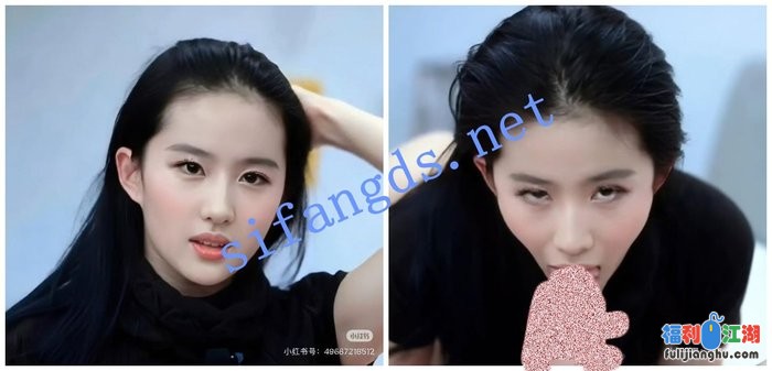 【AI推演视频】内地明星网红爱爱脱衣口交颜射合集1113[某房原版]【125M】 预览图 2