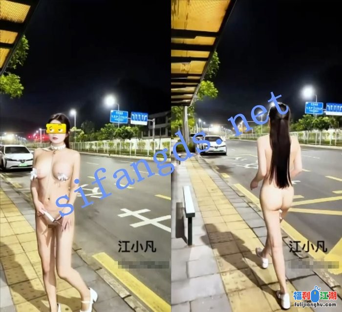 超爱露出的巨乳极品【江小凡】极限人前露出付费福利[某房原版]【646M】 预览图 2