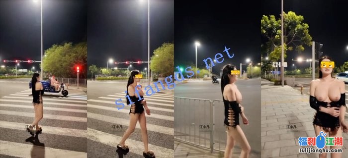 超爱露出的巨乳极品【江小凡】深夜露出被搭讪疯狂摸胸扇[某房原版]【1.2G】 预览图 4