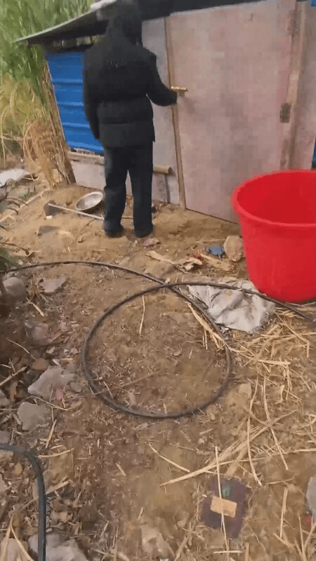 【精品乱伦】农村巨乳母子 – 父亲常年在外 农村母子记录养殖乱伦日常生活 在小动物旁边口交吮茎 巨乳榨射浓汁