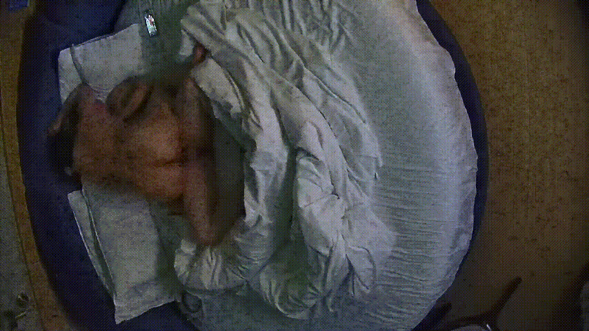 情趣台 12-4 这女人的胸是真漂亮啊 又圆又大又挺 男人只知道舔逼和操逼 这么迷人的奶子碰都没碰 胸推呀废物 预览图 2