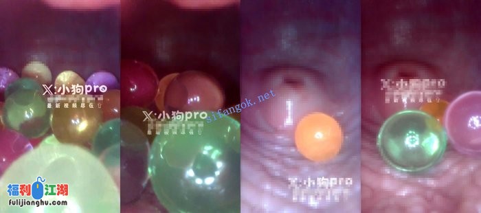 大奶颜值萝莉【小狗PRO】12月最新调教福利[某房原版]【1.47G】 预览图 1