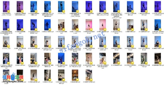 ✅抖音 爱跳舞的小野猫-2 140万粉 大尺度节奏骚舞 最全55V[某房原版]【863M】 预览图 5