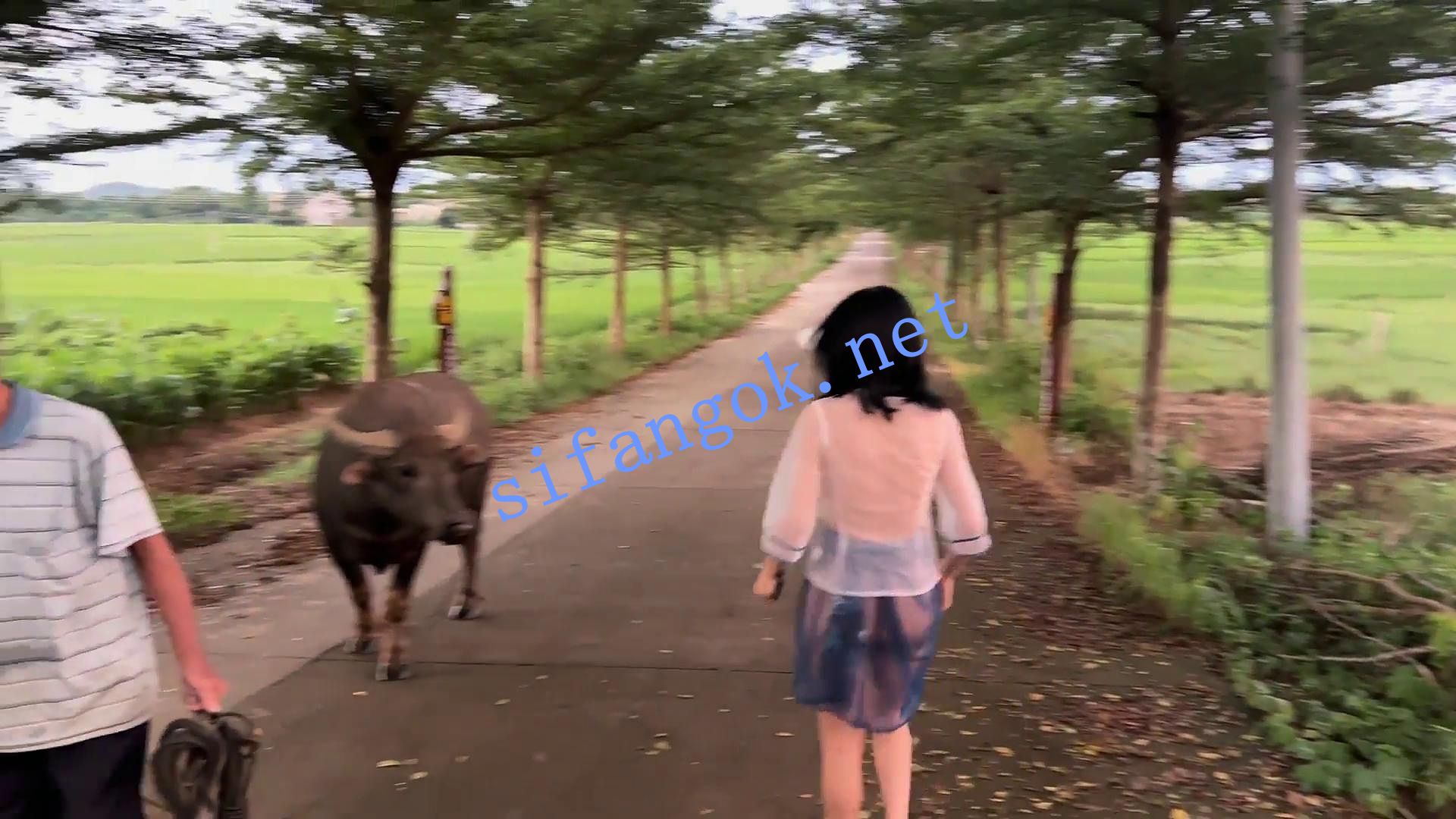 ❤️【cikaimoon】薄纱全透明 户外乡下乱逛 预览图 10