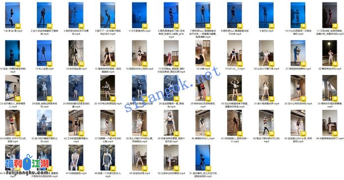 ✅抖音 爱跳舞的小野猫 140万粉 大尺度节奏骚舞 最全51V[某房原版]【830M】 预览图 4