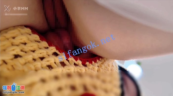 超极品女神【小羊MM】VIP 居家痴汉找家政清洁 淫乱激情爆射[某房原版]【1.39G】 预览图 6