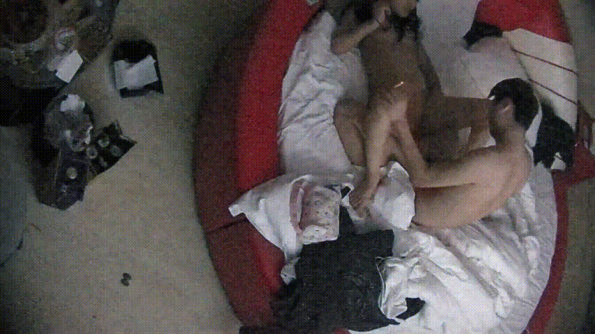 情趣台 12-25 圣诞节情侣开房 其它都是多余 就操逼 美女臀儿不错 美中不足的是个贫乳 最后灌逼里了 预览图 6