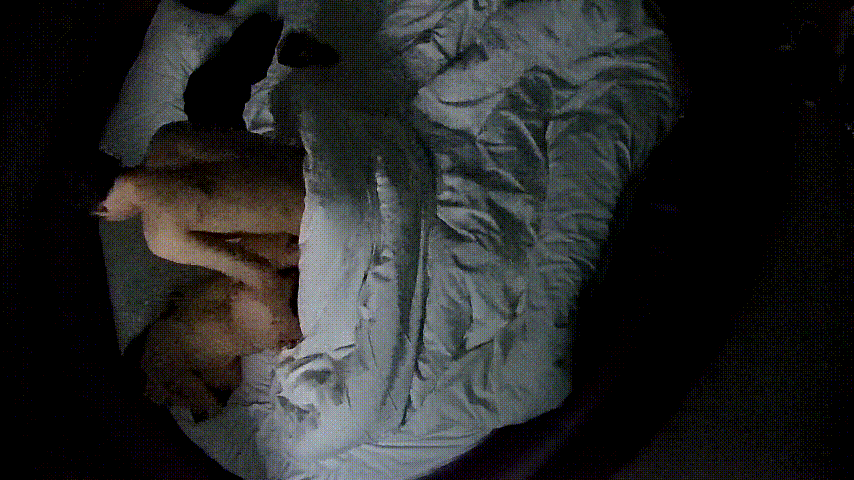 情趣台 12-19 小哥带漂亮身材又好的女朋友开房 先朝女友的屁眼捅去 操到最后对着女友嘴撸管喷射 预览图 2