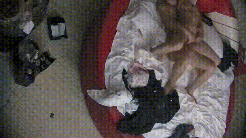 情趣台 12-25 圣诞节情侣开房 其它都是多余 就操逼 美女臀儿不错 美中不足的是个贫乳 最后灌逼里了 预览图 4