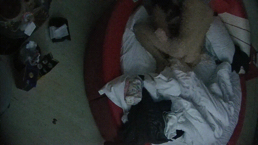 情趣台 12-25 圣诞节情侣开房 其它都是多余 就操逼 美女臀儿不错 美中不足的是个贫乳 最后灌逼里了 预览图 5