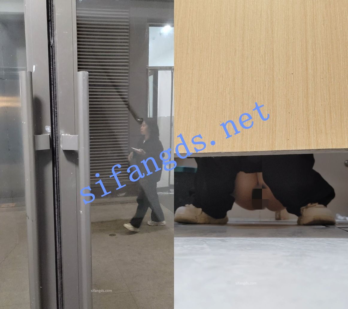 普通厕拍【跟拍系列一】拍脸拍逼，多场所抓拍 预览图 8