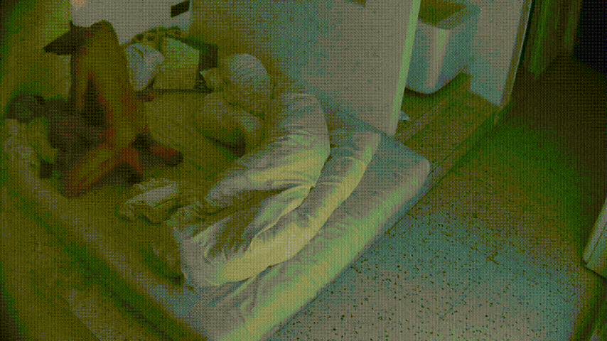 大学城12-21 女生后面进来 操完洗完澡就走了 异地恋就是饥渴 操个逼还要打灯拍个视频 留着回去自己撸 预览图 4