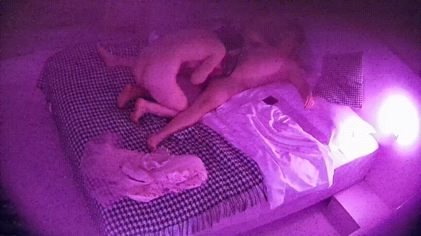 大学城民宿 12-20 妓女接客日常 能愿意跟妓女玩69的大哥是真不多啊 小姐收拾后下班的样子太良家了 预览图 1