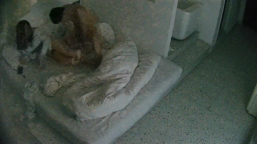 大学城12-21 女生后面进来 操完洗完澡就走了 异地恋就是饥渴 操个逼还要打灯拍个视频 留着回去自己撸 预览图 3