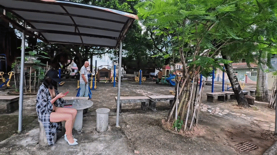 ❤️【cikaimoon/LiWaynix】大胆露出无视路人 勾引老头（10） 预览图 2