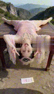 【AI推演视频】各种神仙姐姐口交颜射激战爱爱高圆圆合集 预览图 12