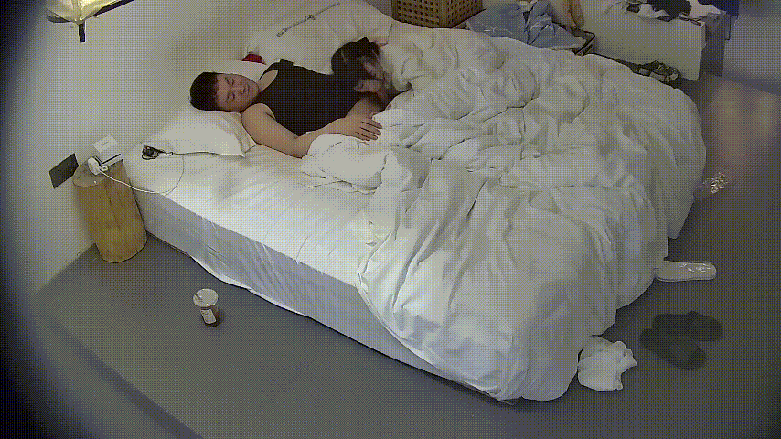 ✅酒店精品✅高颜值双马尾萝莉被富哥骑身上调教成母狗了[65V28.4G] 预览图 1