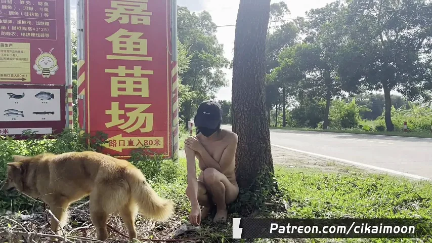 cikaimoon – 露出神人 大胆露出调戏大爷，颜料画成假衣服，街边露出 视频合集1-7弹+11月最新更新大合集【77V37G】 预览图 15