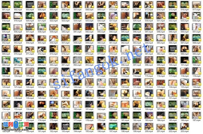 重口性奴⭐Zoikhem Lab Choye⭐调教 扩张 双洞 穿环25年最新9小时[某房原版]【5.3G】 预览图 3