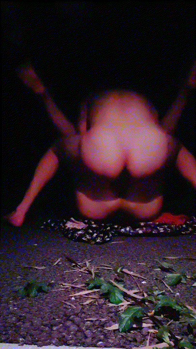 超骚女司机【不知天地】勾引乘客口交车震 野战 开房 大奶被抓住狠狠干翻 最新 预览图 30