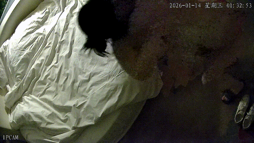 情趣台 1-14 少妇内裤还拿在手里就被推倒在床上了 这小奶狗急得很 早上醒来又马上搞第二炮 而且是炮炮内射 预览图 1