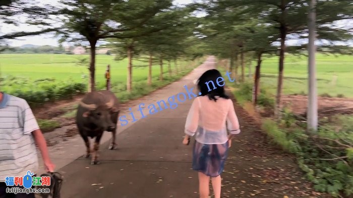 ❤️【cikaimoon】薄纱全透明 户外乡下乱逛[某房原版]【2.83G】 预览图 3