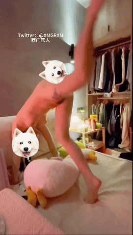 推特性爱大师【JFgege姐夫(香菜老师)(XCLSYYDS)(xmgrxm)(西门官人姐夫)】大神各种姿势爆操骚母狗绿茶婊 预览图 11