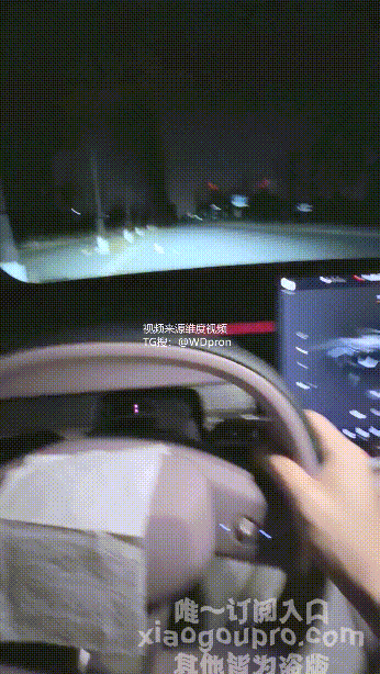 ✅淫荡反差御姐『小狗pro』车载饮料加热器，可加热各种饮料，可拳交暖手，冬季开车手灵活，还带有ai聊骚 预览图 1