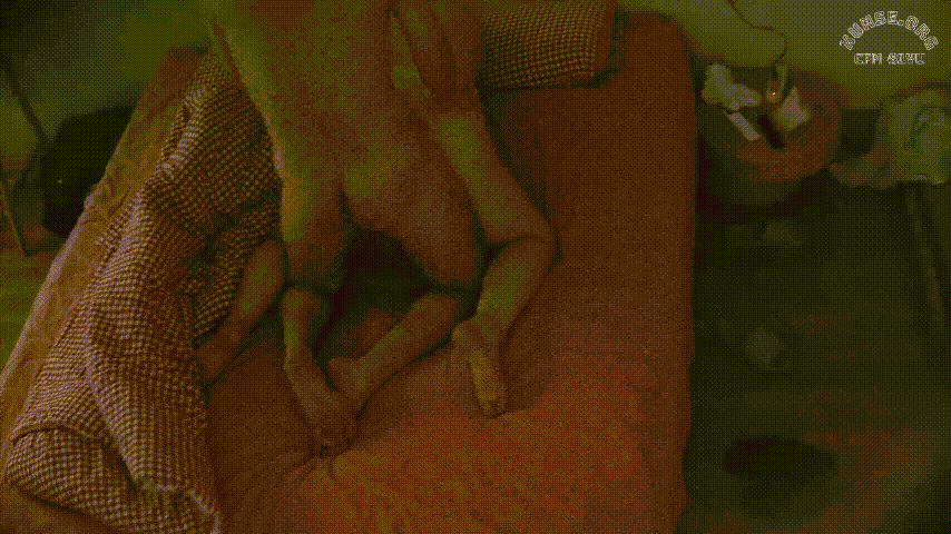 公寓酒店 1-21 自己的胖媳妇儿还在睡觉 拆开裤子就是干 内射完拔屌就走 我操无情 胖女人奶头还不错 预览图 4