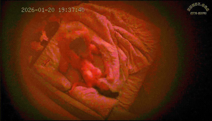 上帝视角 1-21 这一对情侣女生真是极品美女 身材苗条 皮肤雪白 奶子和屁股都是浑圆挺翘 出了三期视频了 预览图 2