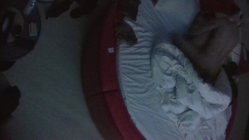 情趣台 12-29 姐弟恋的两人开房操 年轻体力就是不错 连搞两炮才收兵 姐姐不让弟弟看手机 专心操她 预览图 2