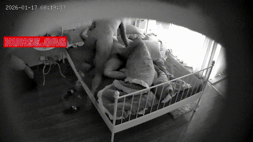 上帝视角 1-17 来一组黑白电视的即视感 男女两人激情不错 配合也好 女人穿着背心个人感觉是亮点 比全祼好 预览图 1