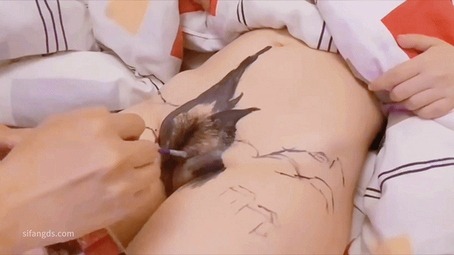 【新奇资源】逼上绘画，画了个蝴蝶B，人体彩绘3部 预览图 1